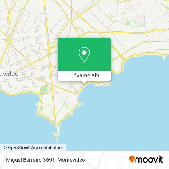 Mapa de Miguel Barreiro 3691