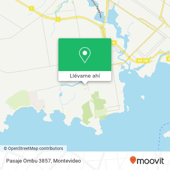 Mapa de Pasaje Ombu 3857
