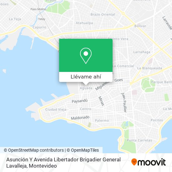 Mapa de Asunción Y Avenida Libertador Brigadier General Lavalleja