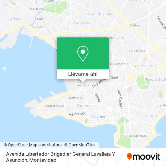 Mapa de Avenida Libertador Brigadier General Lavalleja Y Asunción