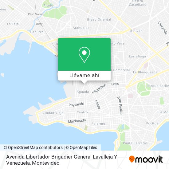 Mapa de Avenida Libertador Brigadier General Lavalleja Y Venezuela