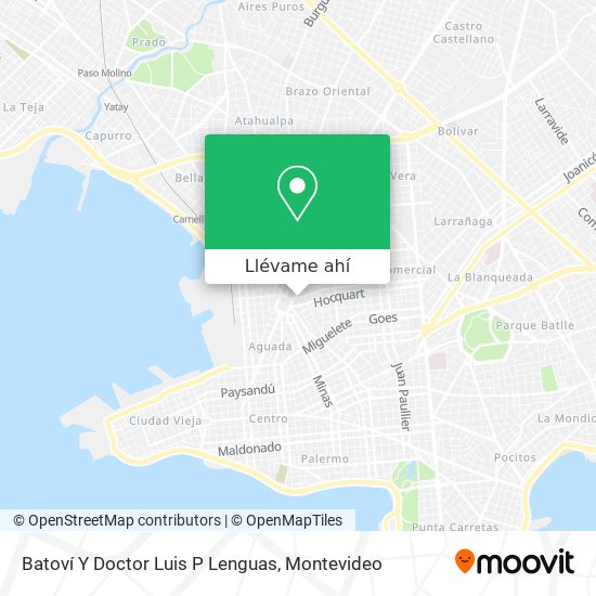 Mapa de Batoví Y Doctor Luis P Lenguas