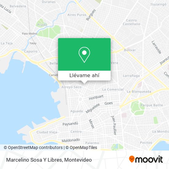 Mapa de Marcelino Sosa Y Libres