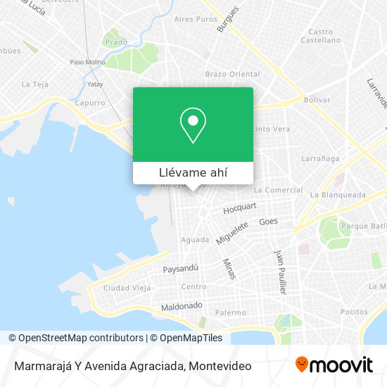 Mapa de Marmarajá Y Avenida Agraciada