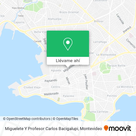 Mapa de Miguelete Y Profesor Carlos Bacigalupi