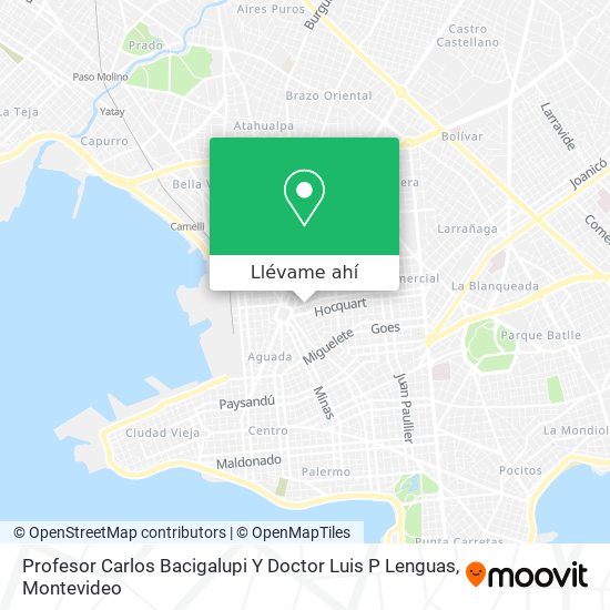 Mapa de Profesor Carlos Bacigalupi Y Doctor Luis P Lenguas