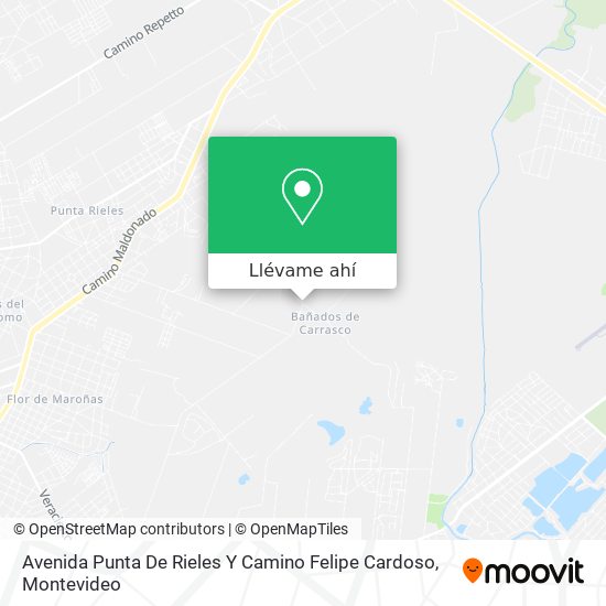 Mapa de Avenida Punta De Rieles Y Camino Felipe Cardoso