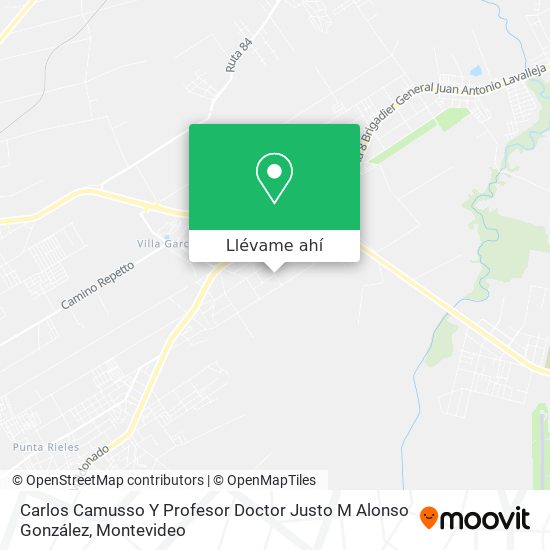 Mapa de Carlos Camusso Y Profesor Doctor Justo M Alonso González