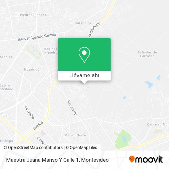 Mapa de Maestra Juana Manso Y Calle 1
