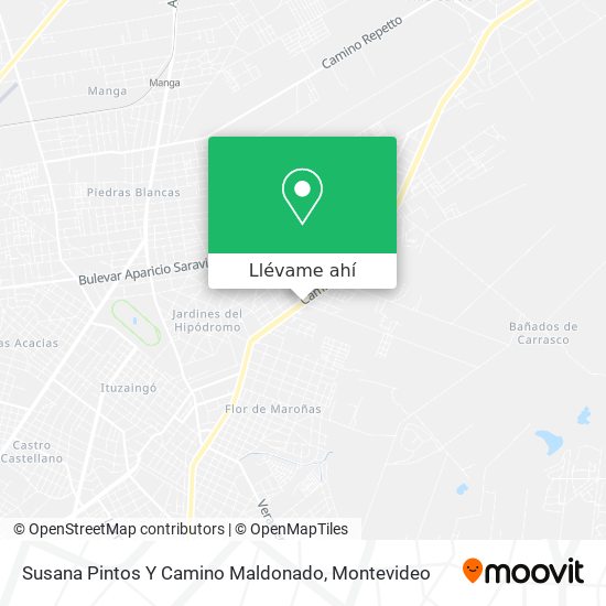 Mapa de Susana Pintos Y Camino Maldonado