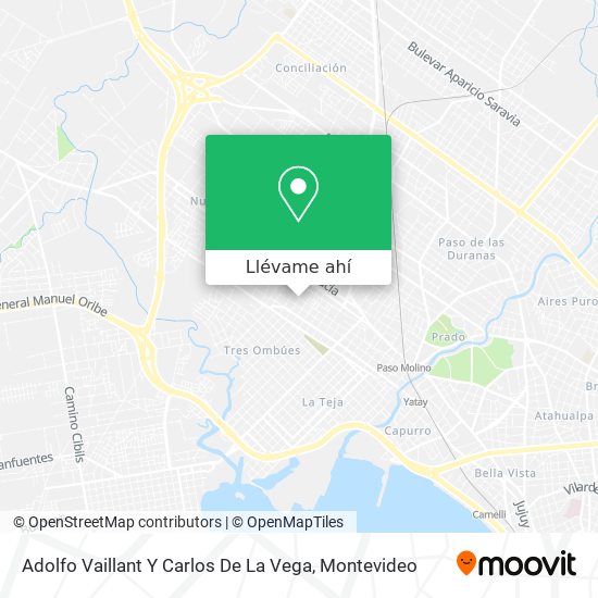Mapa de Adolfo Vaillant Y Carlos De La Vega