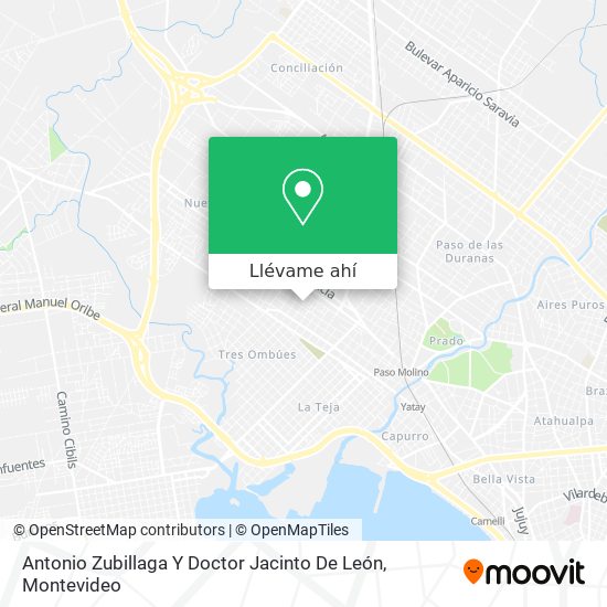 Mapa de Antonio Zubillaga Y Doctor Jacinto De León