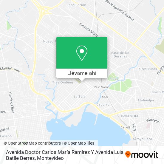 Mapa de Avenida Doctor Carlos María Ramírez Y Avenida Luis Batlle Berres