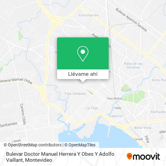 Mapa de Bulevar Doctor Manuel Herrera Y Obes Y Adolfo Vaillant
