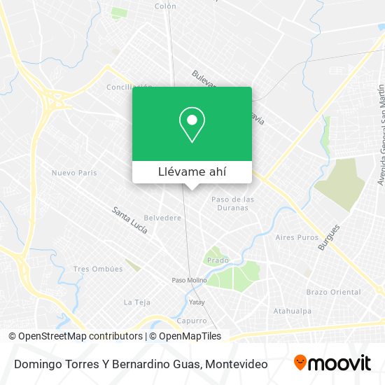 Mapa de Domingo Torres Y Bernardino Guas