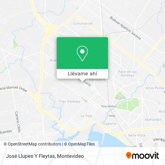 Mapa de José Llupes Y Fleytas