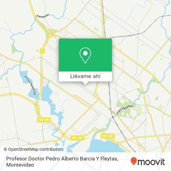 Mapa de Profesor Doctor Pedro Alberto Barcia Y Fleytas