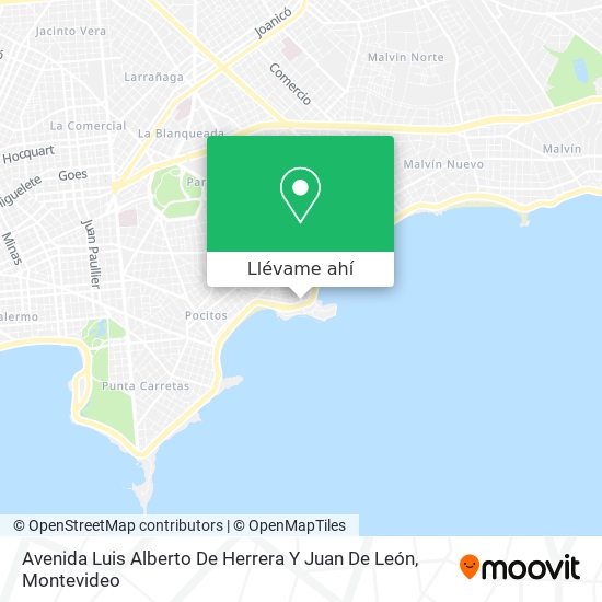 Mapa de Avenida Luis Alberto De Herrera Y Juan De León