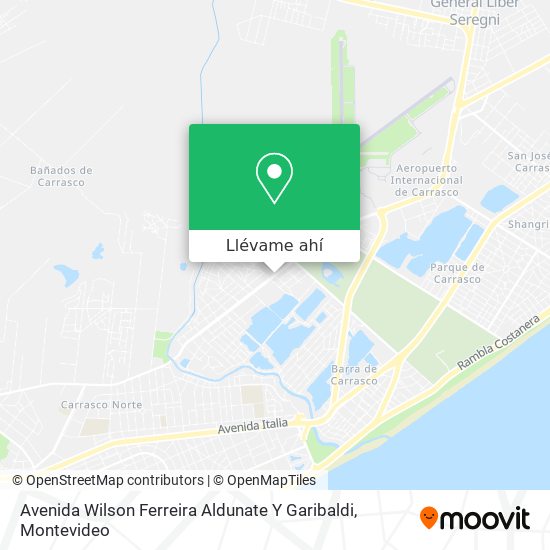 Mapa de Avenida Wilson Ferreira Aldunate Y Garibaldi