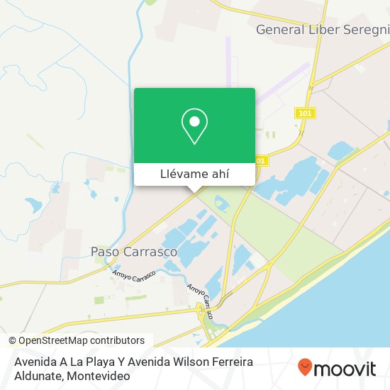 Mapa de Avenida A La Playa Y Avenida Wilson Ferreira Aldunate