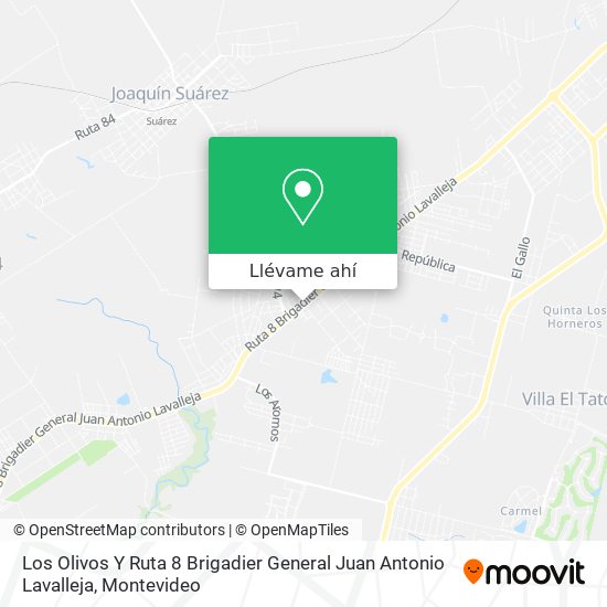 Mapa de Los Olivos Y Ruta 8 Brigadier General Juan Antonio Lavalleja