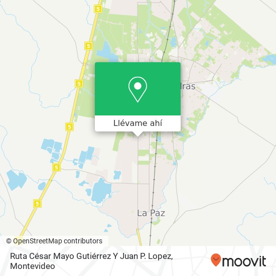 Mapa de Ruta César Mayo Gutiérrez Y Juan P. Lopez