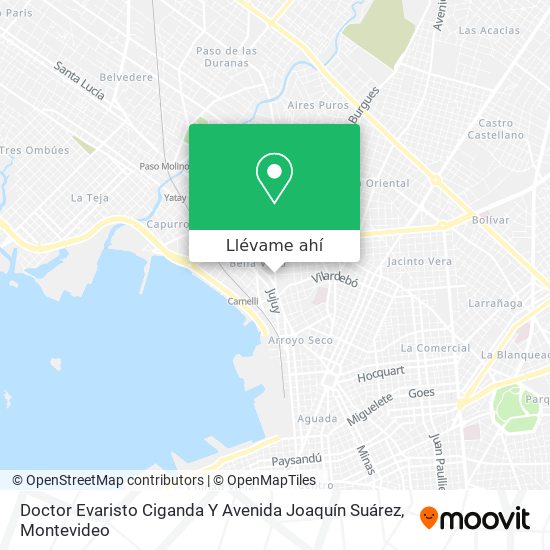 Mapa de Doctor Evaristo Ciganda Y Avenida Joaquín Suárez
