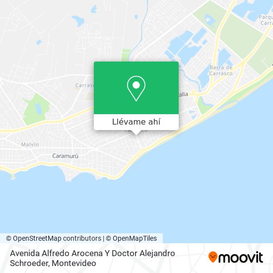 Mapa de Avenida Alfredo Arocena Y Doctor Alejandro Schroeder