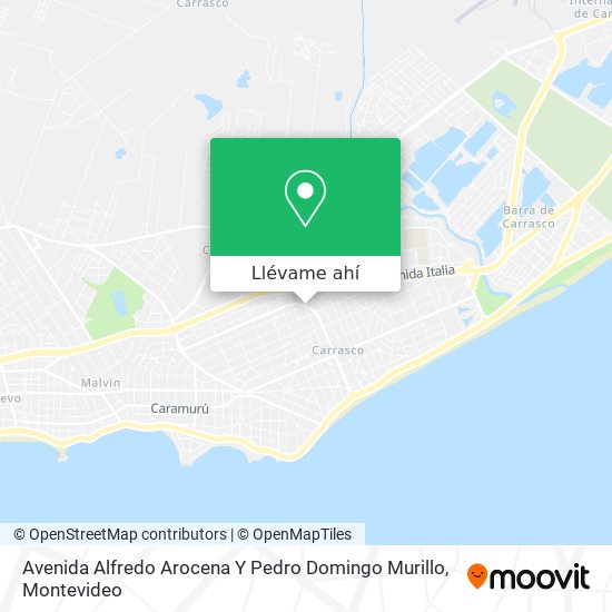 Mapa de Avenida Alfredo Arocena Y Pedro Domingo Murillo