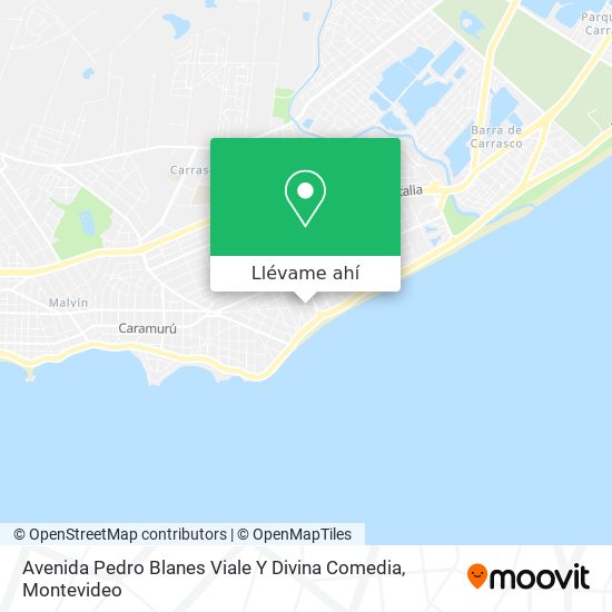 Mapa de Avenida Pedro Blanes Viale Y Divina Comedia