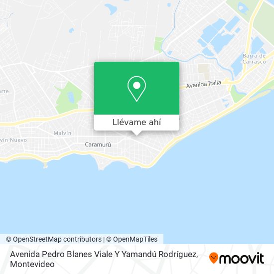 Mapa de Avenida Pedro Blanes Viale Y Yamandú Rodríguez