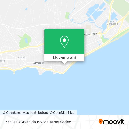 Mapa de Basiléa Y Avenida Bolivia