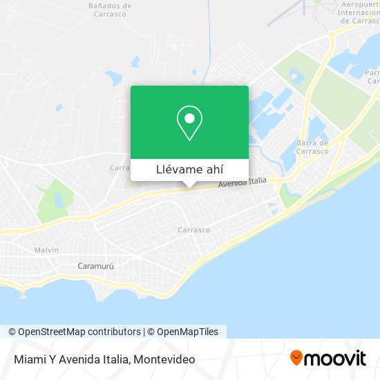 Mapa de Miami Y Avenida Italia