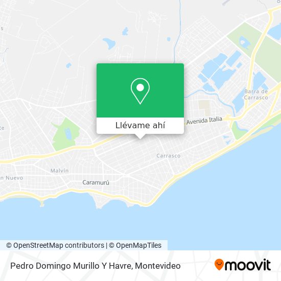 Mapa de Pedro Domingo Murillo Y Havre