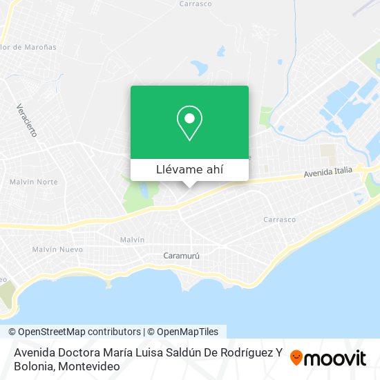 Mapa de Avenida Doctora María Luisa Saldún De Rodríguez Y Bolonia