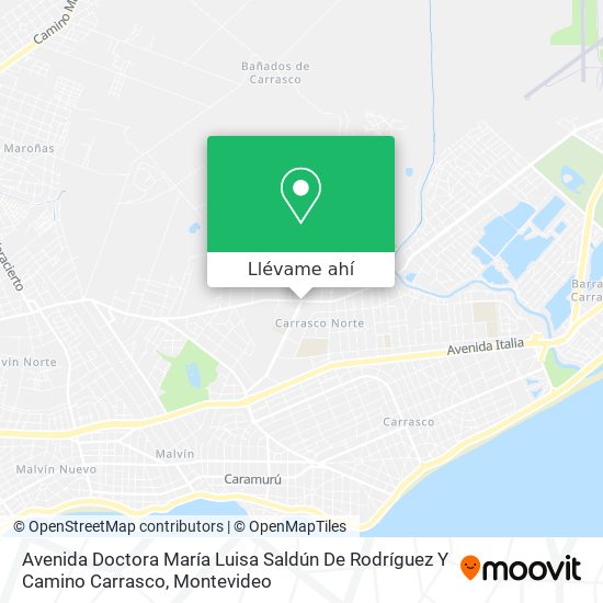 Mapa de Avenida Doctora María Luisa Saldún De Rodríguez Y Camino Carrasco