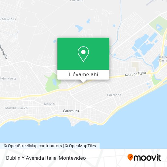 Mapa de Dublin Y Avenida Italia