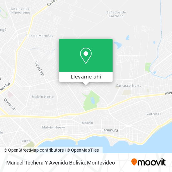 Mapa de Manuel Techera Y Avenida Bolivia
