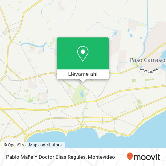 Mapa de Pablo Mañe Y Doctor Elias Regules