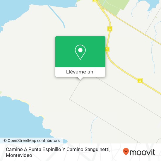 Mapa de Camino A Punta Espinillo Y Camino Sanguinetti