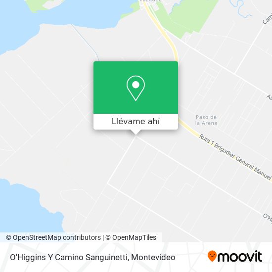 Mapa de O'Higgins Y Camino Sanguinetti