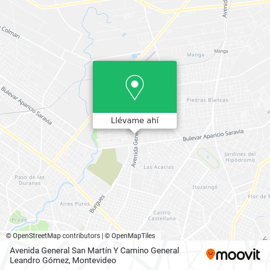 Mapa de Avenida General San Martín Y Camino General Leandro Gómez