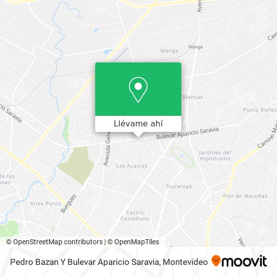 Mapa de Pedro Bazan Y Bulevar Aparicio Saravia