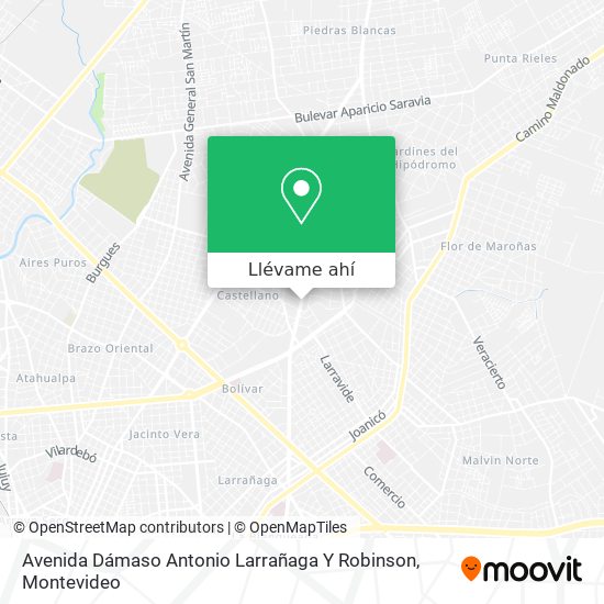 Mapa de Avenida Dámaso Antonio Larrañaga Y Robinson