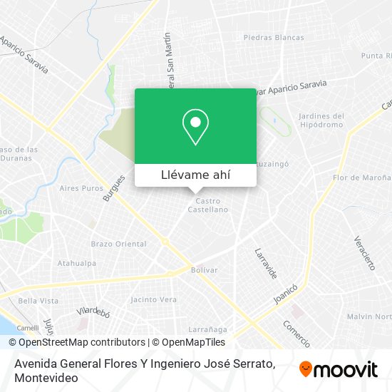 Mapa de Avenida General Flores Y Ingeniero José Serrato