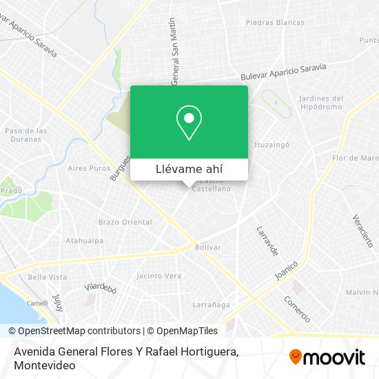 Mapa de Avenida General Flores Y Rafael Hortiguera