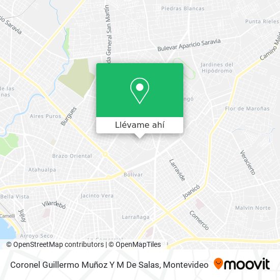 Mapa de Coronel Guillermo Muñoz Y M De Salas
