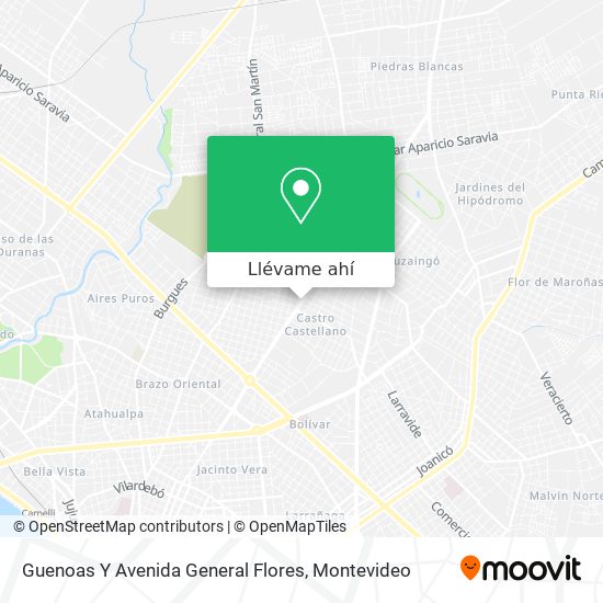 Mapa de Guenoas Y Avenida General Flores