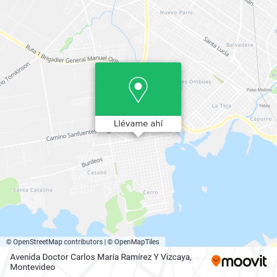 Mapa de Avenida Doctor Carlos María Ramírez Y Vizcaya