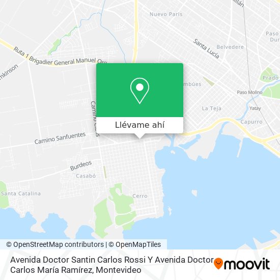 Mapa de Avenida Doctor Santin Carlos Rossi Y Avenida Doctor Carlos María Ramírez